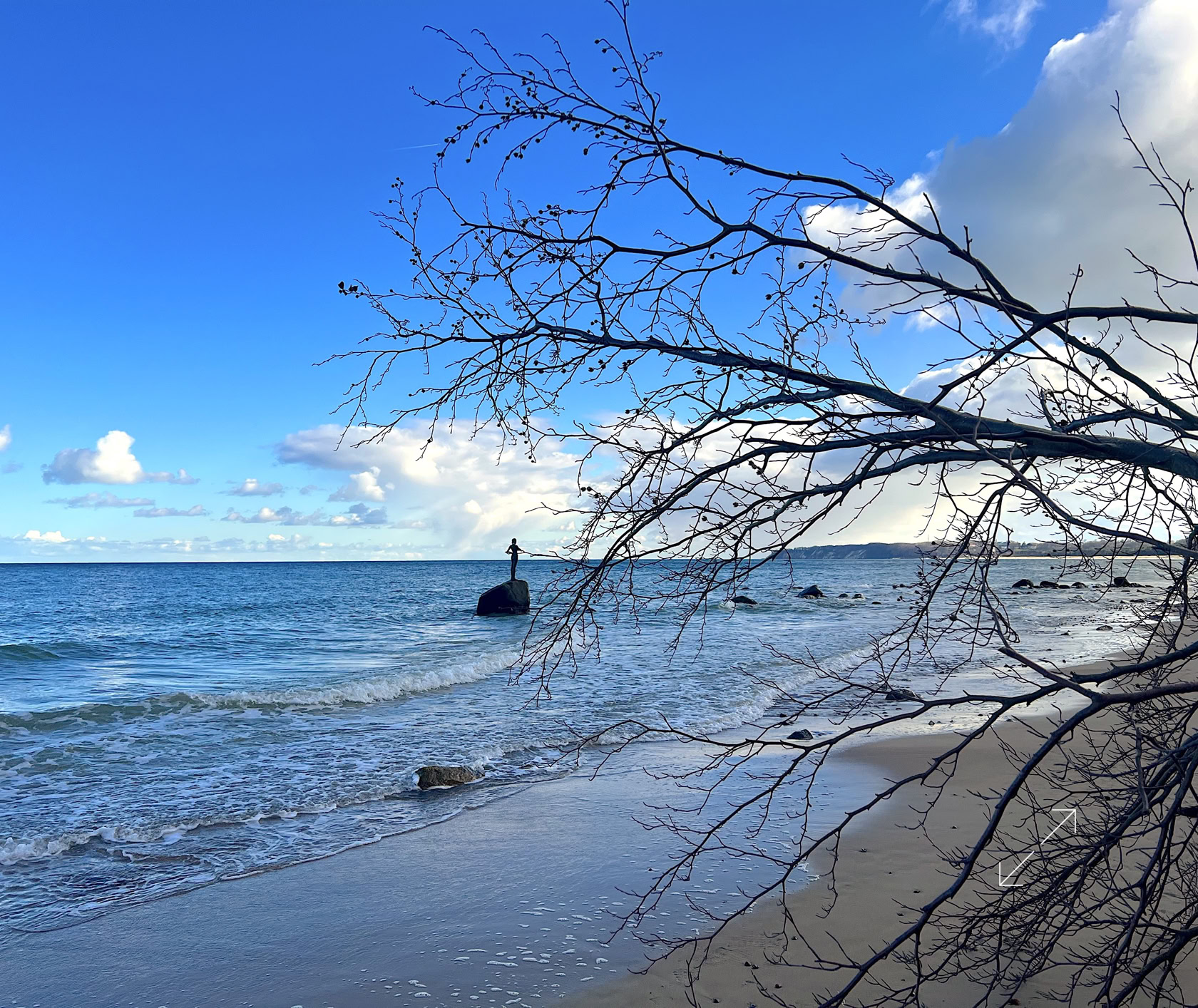Strand mit Wellen, ein kahler Baum im Vordergrund, blauer Himmel mit Wolken.