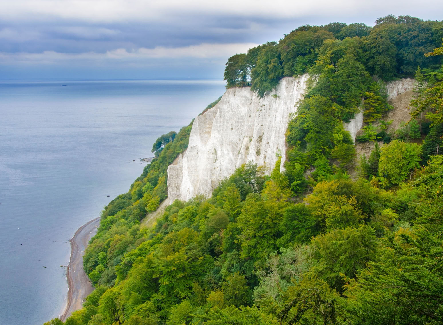 Kreidefelsen an der Küste mit üppigem grünen Wald und blauem Meer im Hintergrund.