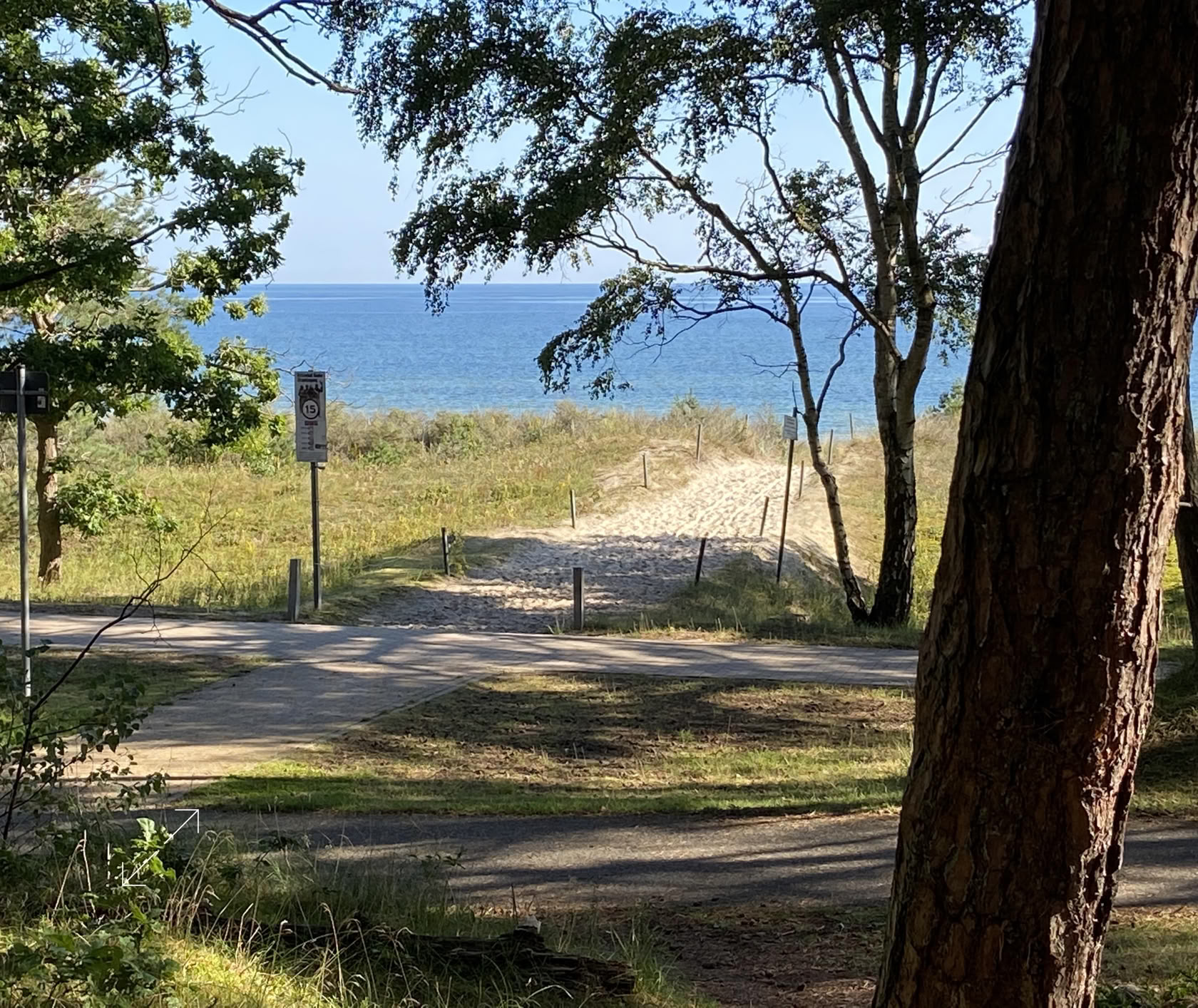 Weg durch Bäume und Gras, der zu einem Strand mit Blick auf das Meer führt.