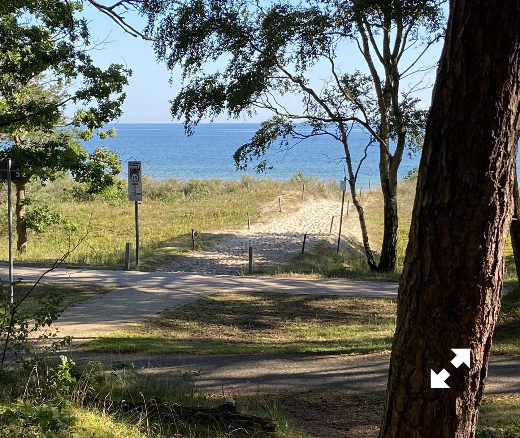 Weg durch Bäume und Gras, der zu einem Strand mit Blick auf das Meer führt.