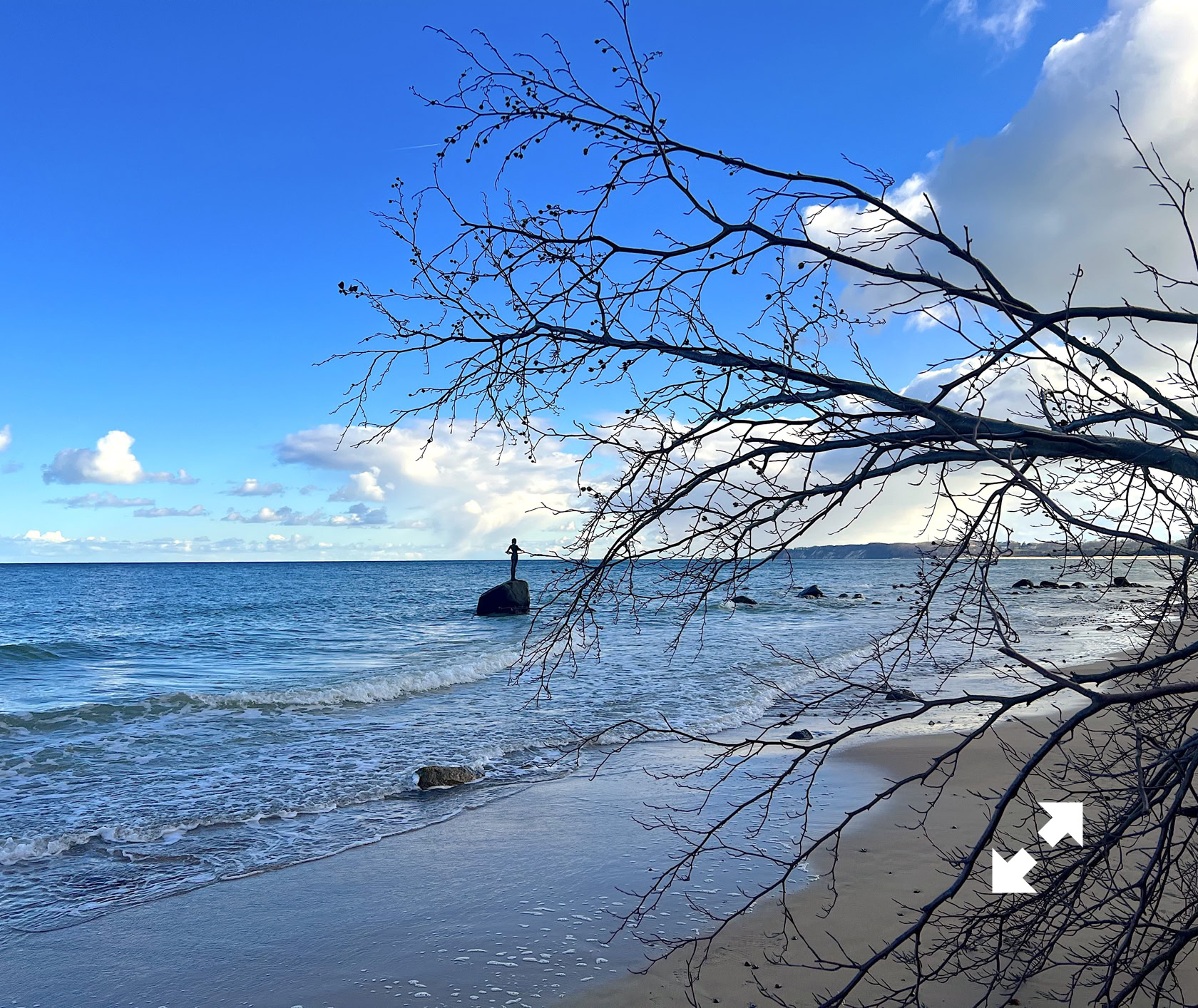 Strand mit Wellen, ein kahler Baum im Vordergrund, blauer Himmel mit Wolken.